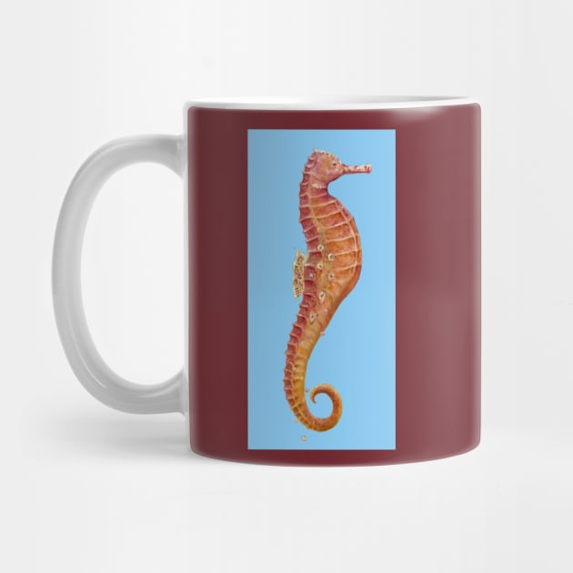 Seahorse (Celeste Blue) by RealZeal